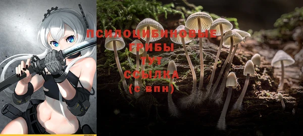 ALPHA PVP Балахна